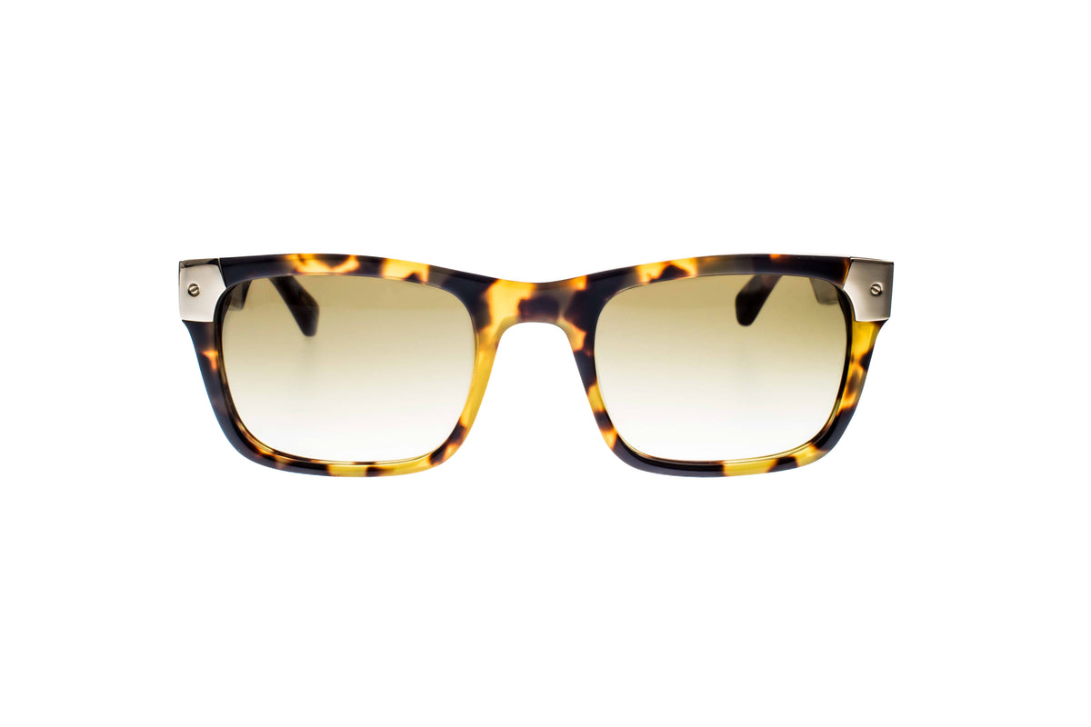 Shiny Tokyo Tortoise with Gold Tone Metal Wayfarers - YuppyCollections