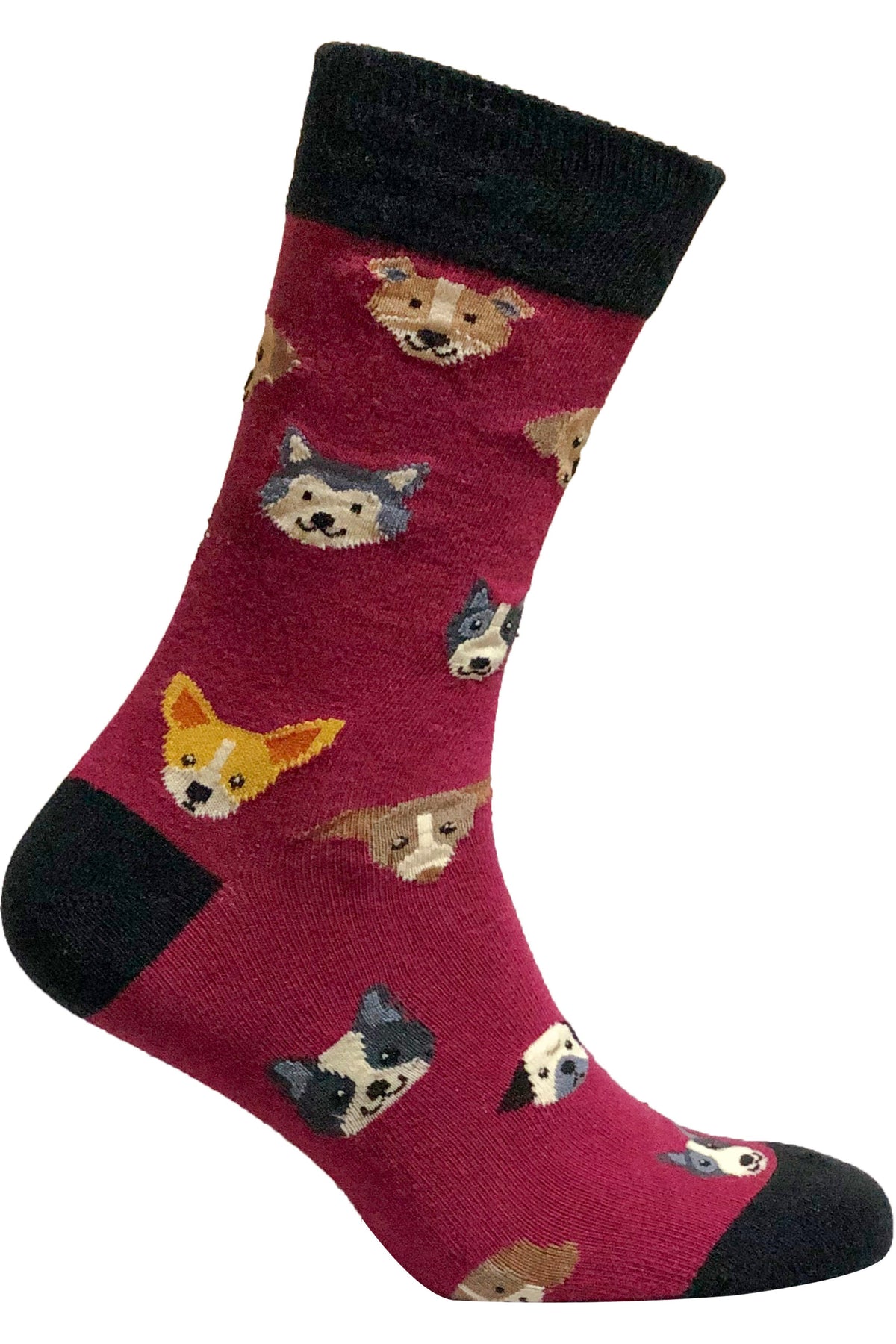 Dogs Socks - YuppyCollections