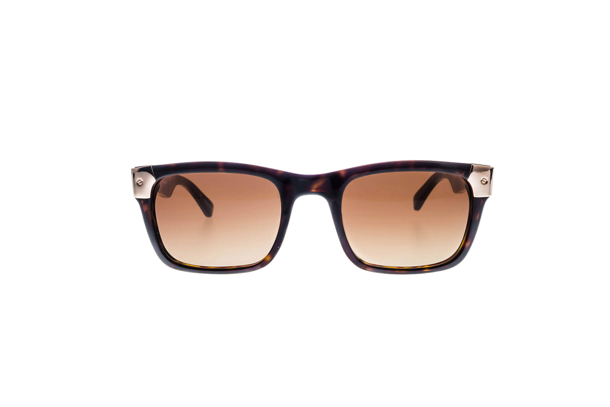 Shiny Tortoise with Rose Gold Metal Wayfarers - YuppyCollections