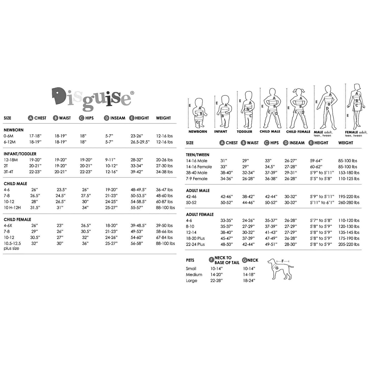 Ariel Classic Sm 4-6X - YuppyCollections