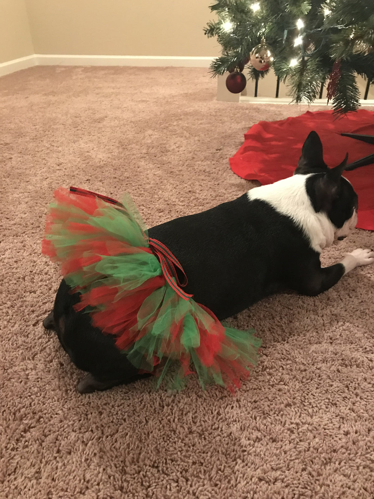 Red and Green Pet Tutu Skirt | XS-XXXL - YuppyCollections