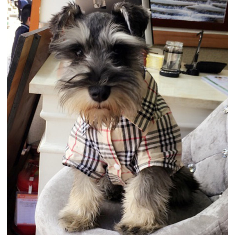 Furberry Checkered Button Up | Dog Clothing - YuppyCollections