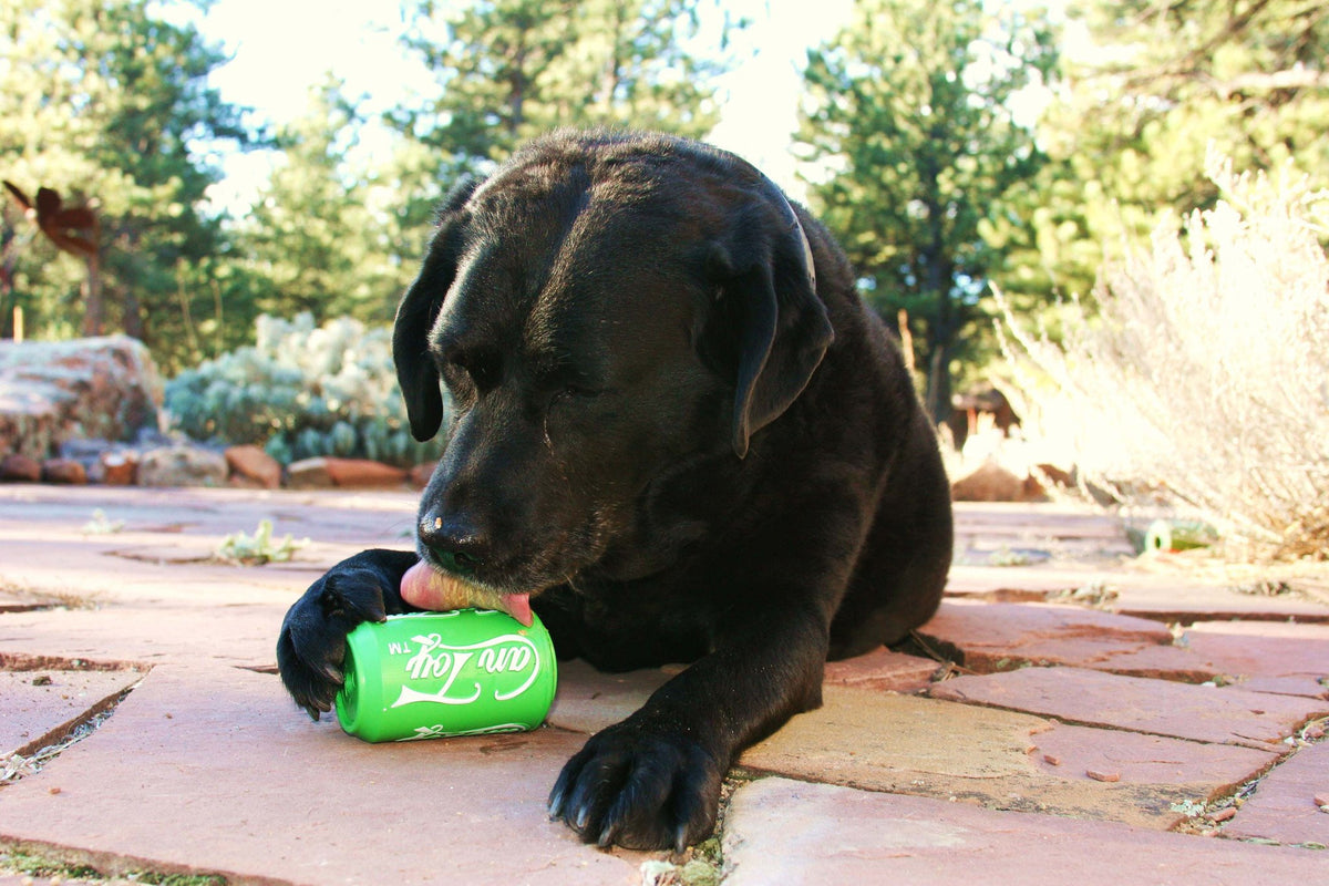 SP Can Toy Durable Rubber Chew Toy & Treat Dispenser - Lemon Lime - YuppyCollections