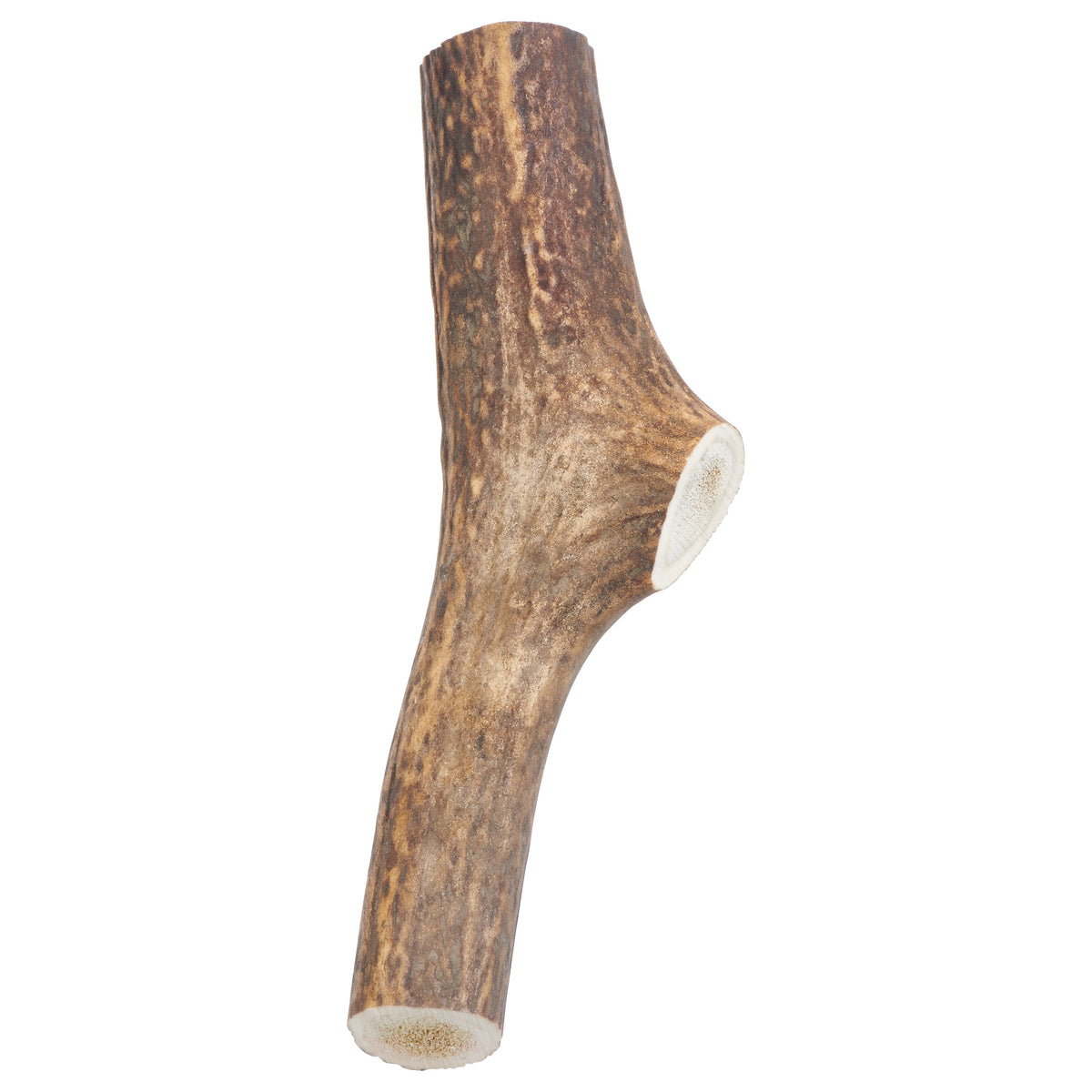 “Whole” Grade A Whole Elk Antler Dog Chews - YuppyCollections