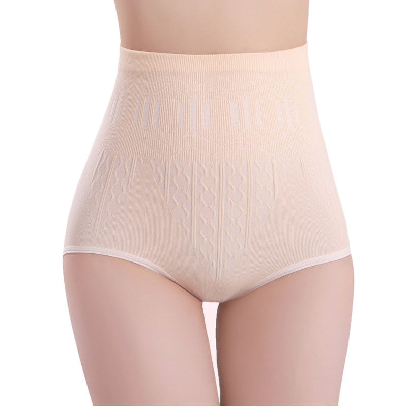 Sexy Womens High Waist Tummy Control Body Shaper Briefs Slimming Pants PP - YuppyCollections