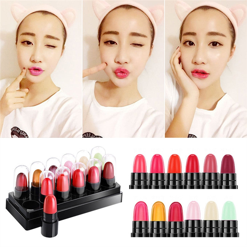 12pcs Waterproof Kiss Proof Lipstick Long Lasting Matte Lipgloss Set - YuppyCollections