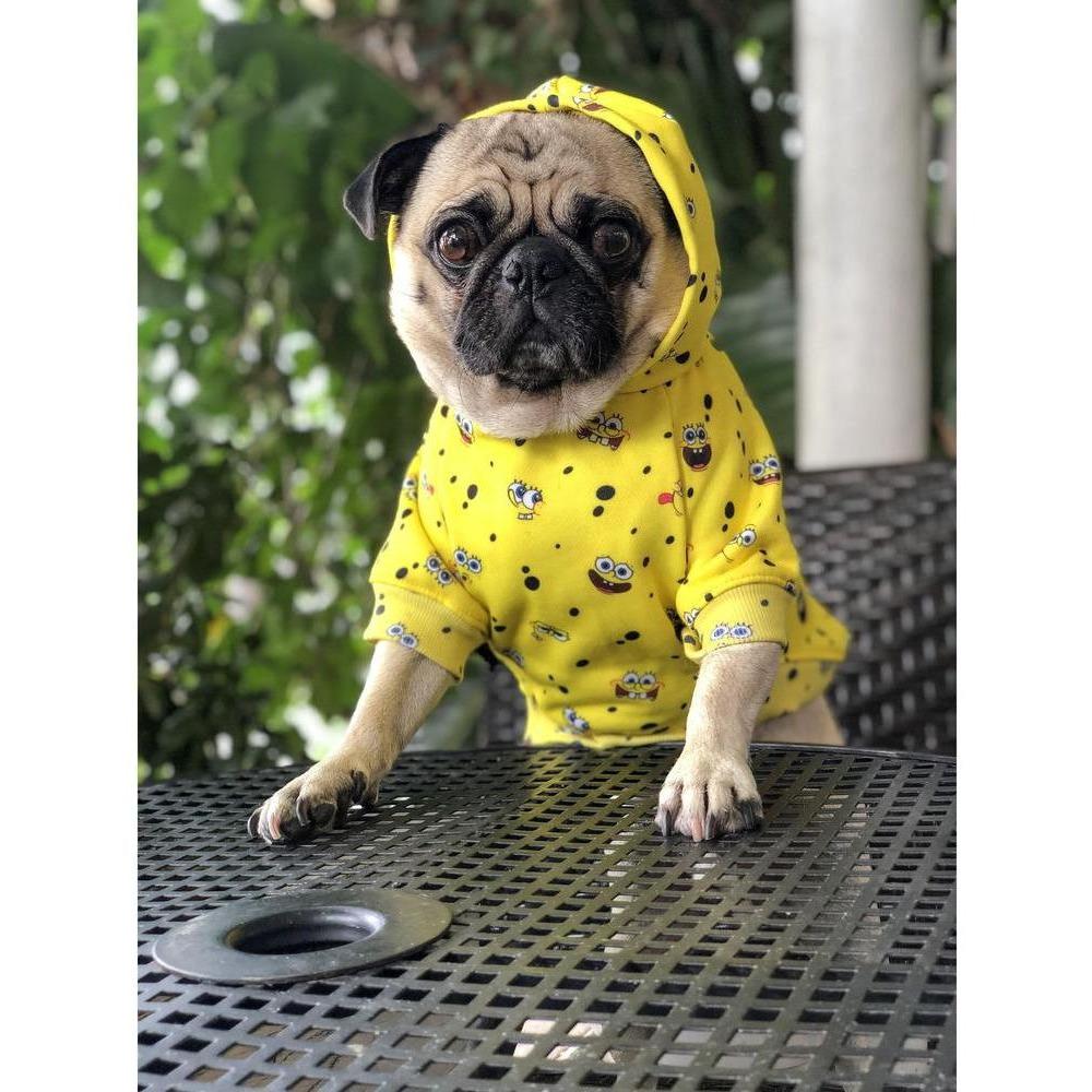 Spongebob x Fresh Pawz - SB All Over Hoodie | Dog Clothing - YuppyCollections